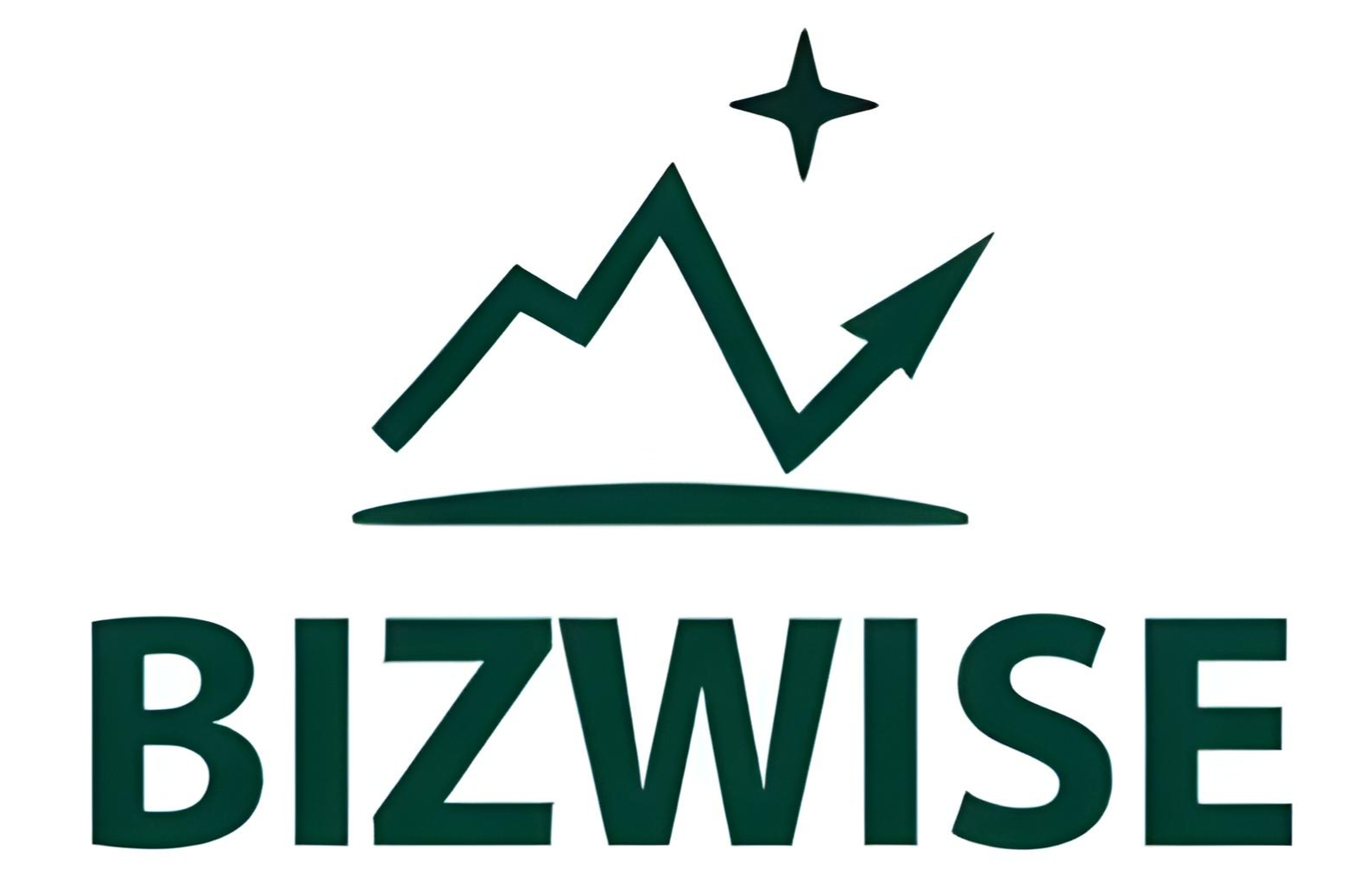 Bizwise